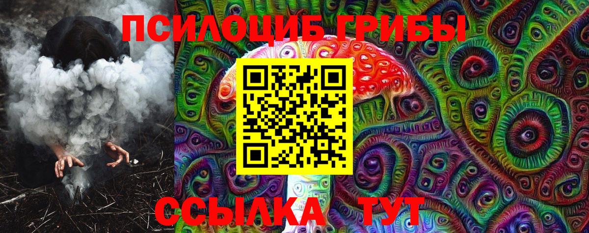 Галлюциногенные грибы Cubensis  сколько стоит  Красный Сулин  Галлюциногенные грибы Psilocybine cubensis  Вход с VPN 